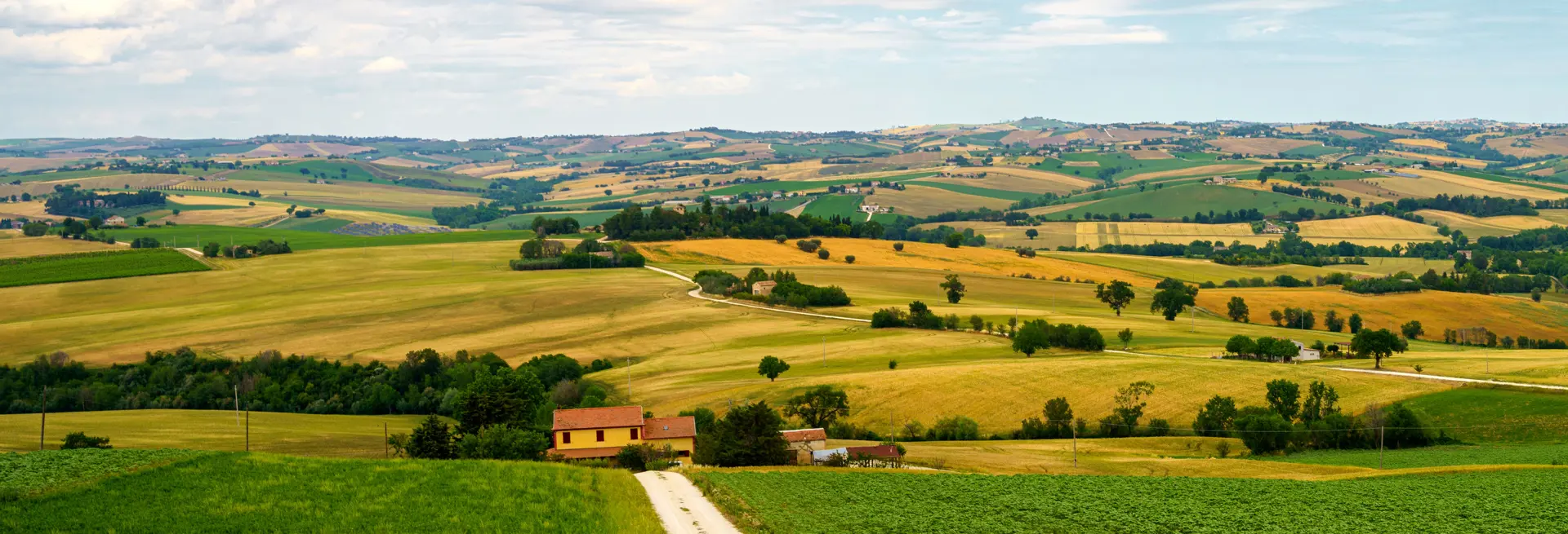 Complemento Di Sviluppo Rurale